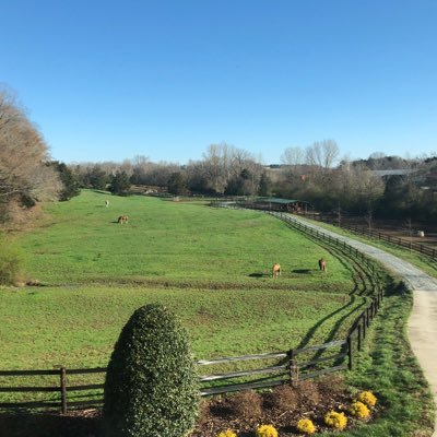 AndreaCedarhill's profile picture. Thinking outside of the box makes me "special"