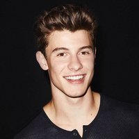 Shawn Mendes (@0mendesarmy00) 's Twitter Profile