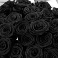 :) (@knslor) 's Twitter Profile