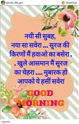 SameerT58411607's profile picture. Nothing more