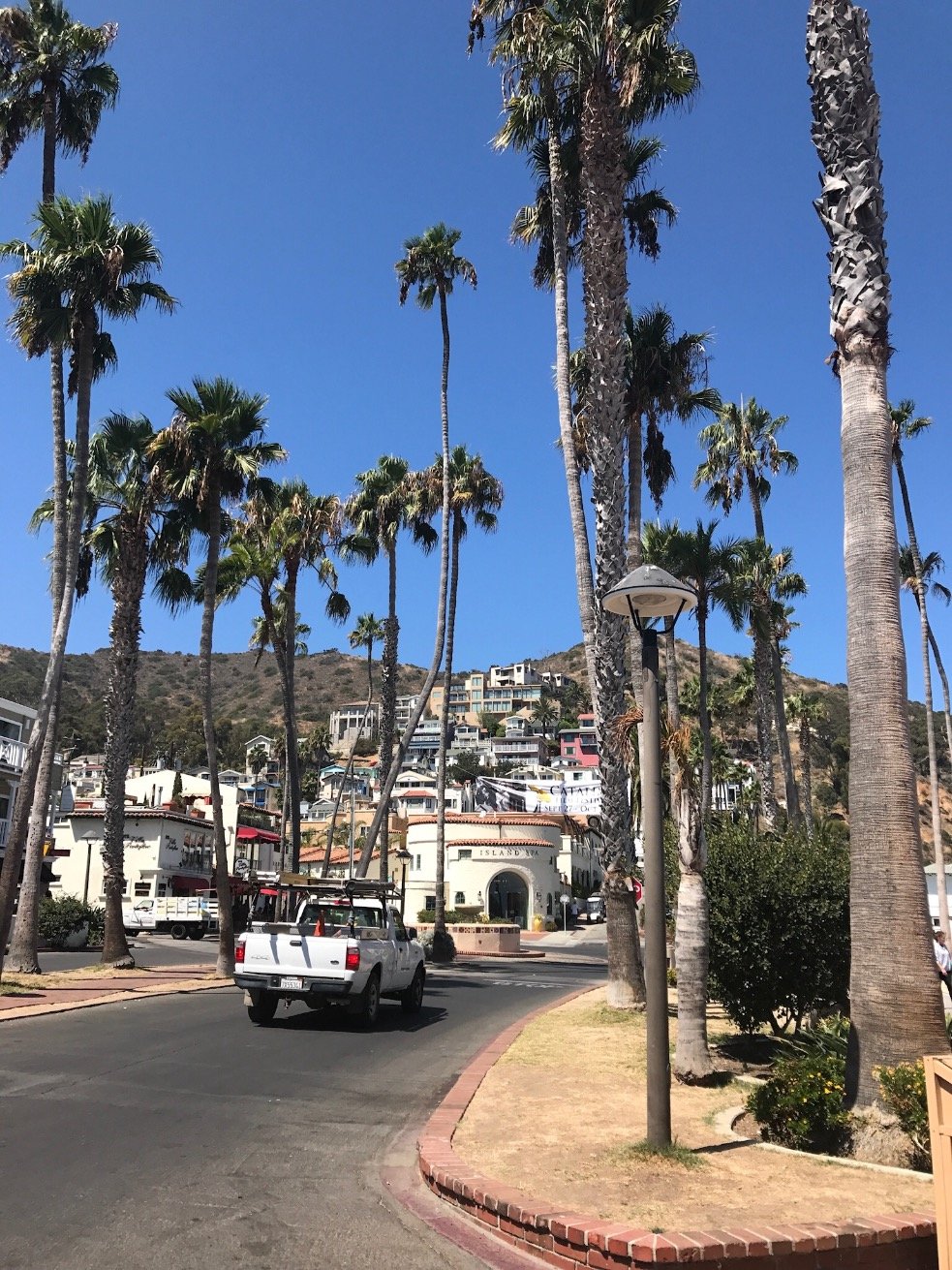 iBeezy44's profile picture. 