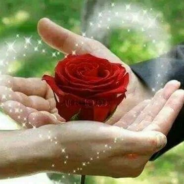 lh5EOdbKQRq4b3b's profile picture. ‏‏‏‏اللهم توفني وانت راضي عني وسخر لي من يدعو لي بعد وفاتي ...