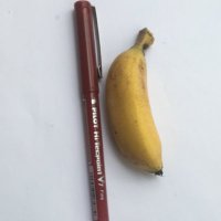 Joaquim Piera (@joaquimpiera) 's Twitter Profile