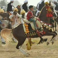 ShAfQaT GoNDaL . (@gondal52209780) 's Twitter Profile