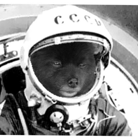 yokkkk_kl's profile picture. " Dünya öküzün boynuzlarının üstünde durmuyor, mecbur insanların sırtında duruyordu"