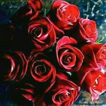 OnayDeniz1's profile picture. 