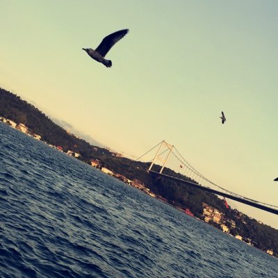 Manal18035773's profile picture. " اللهم إنّي أحاول فأوصلني ، وإنّي أخاف فآمني ، وإنّي أتعثّر فأقمني "