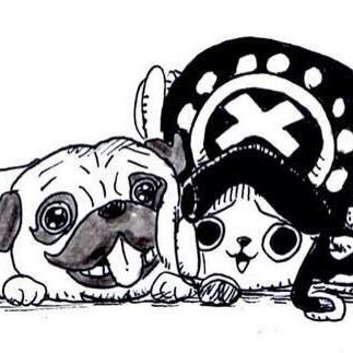 0s5YZmyrZEBCpg9's profile picture. 