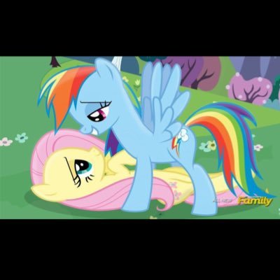 RoronoaGeek's profile picture. Rien