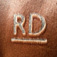 Riverina Downs (@downsriverina) Twitter profile photo
