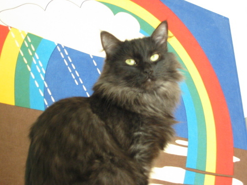 DaleDrury's profile picture. 