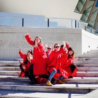 Bruestle Lab (@bruestlelab) Twitter profile photo
