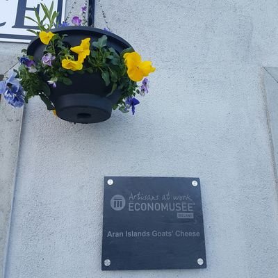 AranGoatCheese's profile picture. #Cheesemaker & Tour Guide .
#Failte Ireland Food Tourism Champion #Aran Food Tours 
#Animal lover & Food lover