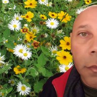 Creative w/ A. Pleasant N. (@apleasantn1) 's Twitter Profile Photo Creative w/ A. Pleasant N. (@apleasantn1) 's Twitter Profile Photo