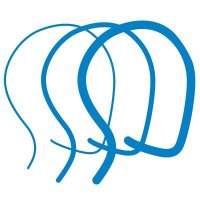 Brain Injury Association of California (@biacalifornia) 's Twitter Profile