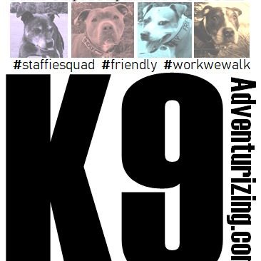 K9Adventurizing's profile picture. 