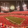 chiefssb's profile picture. Chiefs fanatic till I die or beyond ! I’m here to talk Chiefs and have fun