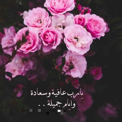 dvxq311's profile picture. 