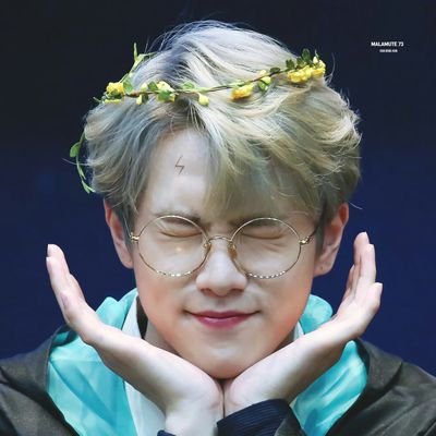 pandalnln's profile picture. 제비제 영원해