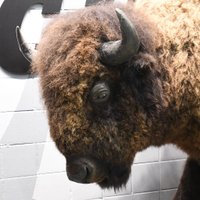 Julie (@23photojuls) 's Twitter Profile Photo