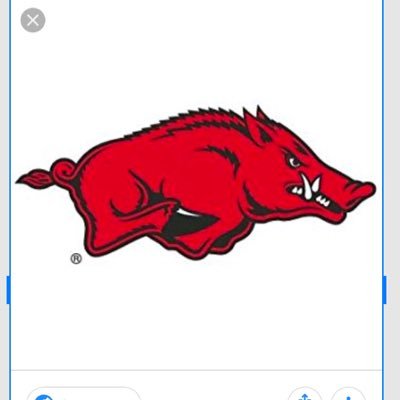 Arkansas Razorbacks Football,basketball,baseball. Miami Dolphins.long distance runner/hiker and child of the Most High God 🙌🐗