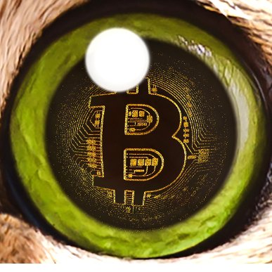 (ZS) A Crypto Shell Corp Funneling Funds 2 Cats
(DFBA) We Paint Other People’s Fences LLC