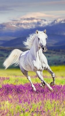 lbxy1959's profile picture. 乐观开朗，积极向上