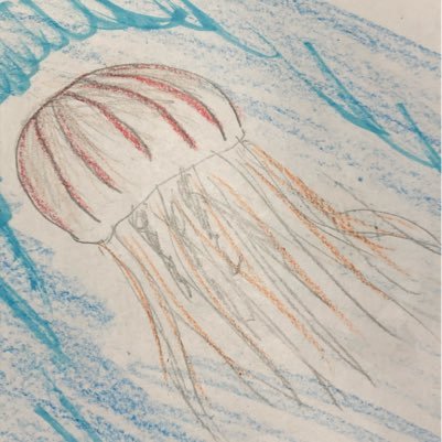 Jellyfishさんのプロフィール画像
