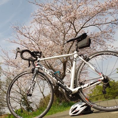 鹿老渡さんのプロフィール画像
