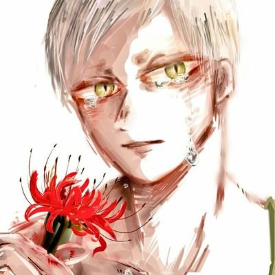 とらいぬさんのプロフィール画像