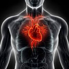 Welcome to the official twitter handle of Cardiac Surgery Conference to be held during October 25-26, 2018 in Vienna, Austria.