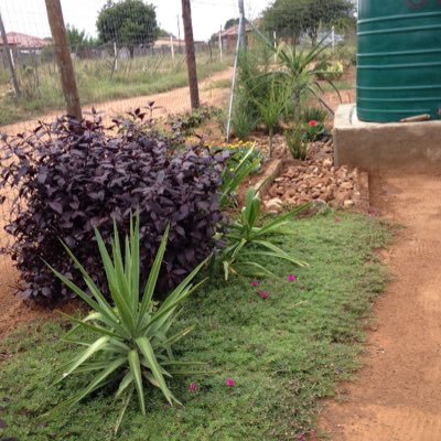 mulalo18161626's profile picture. Intelligent