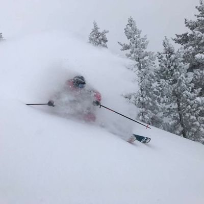 bola_vlc's profile picture. #MBA #BUSINESS