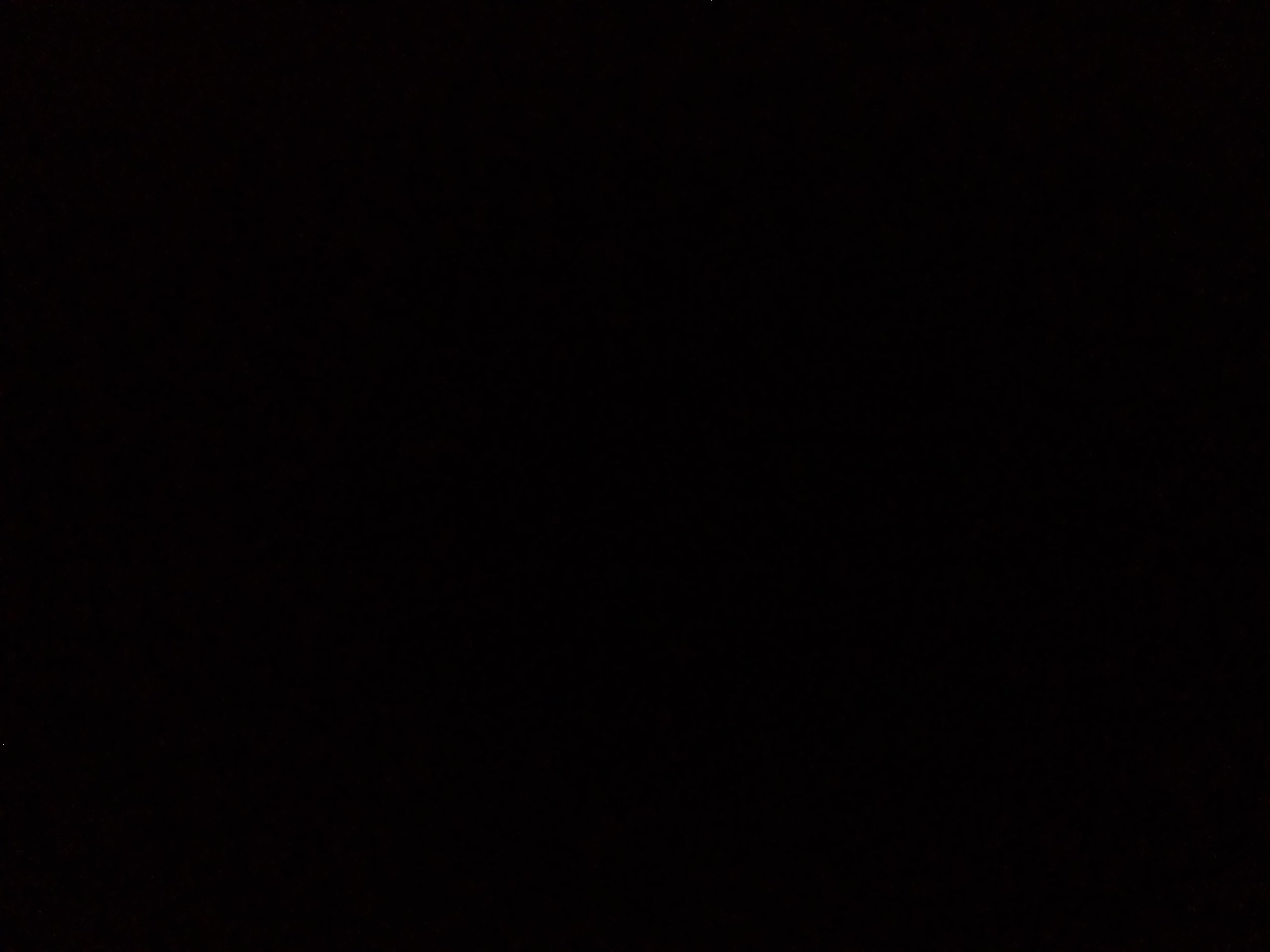 Pjsf4's profile picture. 