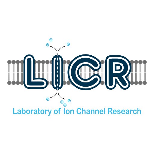 Laboratory Of Ion Channel Research - Leuven