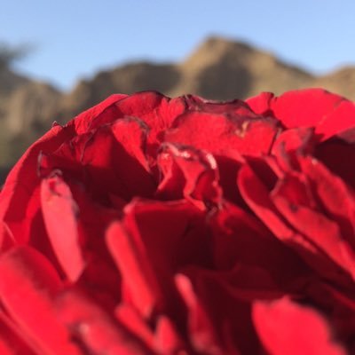 BvXoWapocvEcpmE's profile picture. 