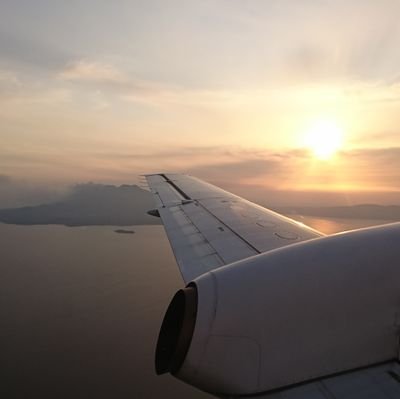 bokumounerune's profile picture. よろー