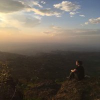 Shelagh Daley (@shedales) 's Twitter Profile