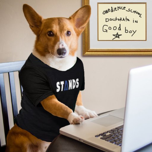 A Really Good Boy support@shopstands.com