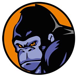 WEB DESIGN & MARKETING WITH GORILLA RESULTS!