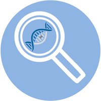 Solve-RD (@solve_rd) 's Twitter Profile