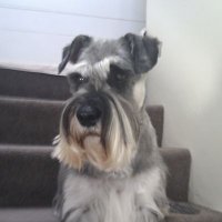 Lydia Gibbs (@lydiamg49) 's Twitter Profile Photo