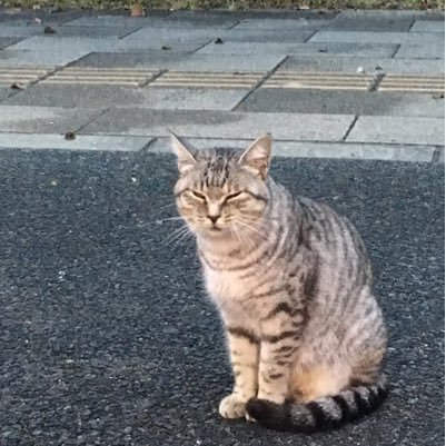 火吹きトカゲと黒土の砂時計さんのプロフィール画像