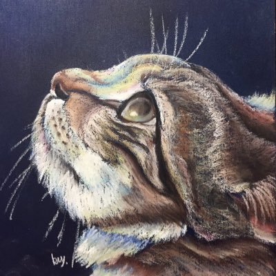 loveforever__TO's profile picture. 