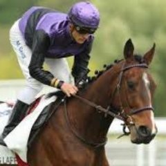 PARIEURS_PMU's profile picture. 