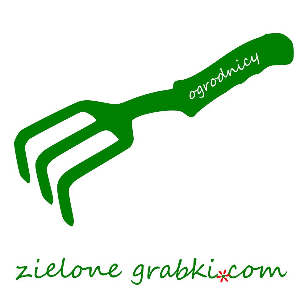 zielone_grabki Profile Picture