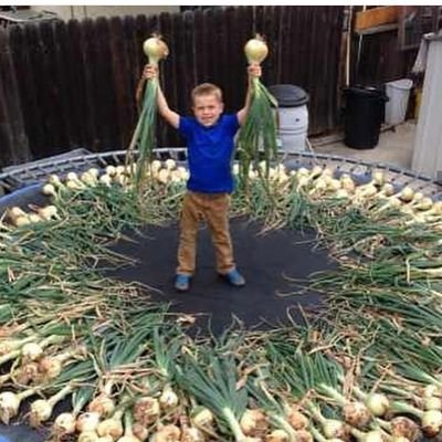 wooozer2's profile picture. megaclout™