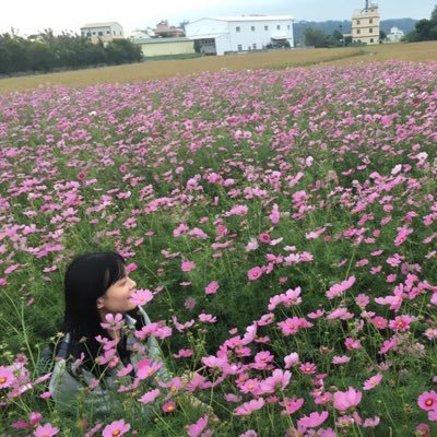 peakean's profile picture. Enjoy the little things in my life.♥ :D