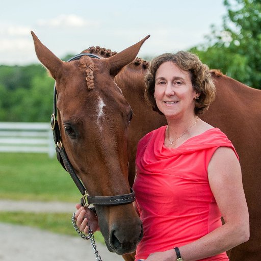 I'm an attorney turned contemporary romance author. I've loved horses my entire life, and my books always have a horse play a major part in the love story.