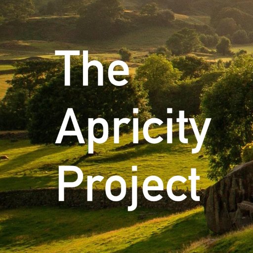 We are a team of artists, entrepreneurs & storytellers crafting new stories of the human experience for a world that desperately yearns to understand.